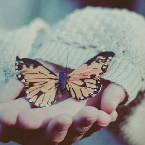 日本a片温泉下的母子
